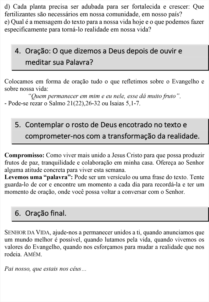 5-domingo-da-pascoa-reflexão-p4